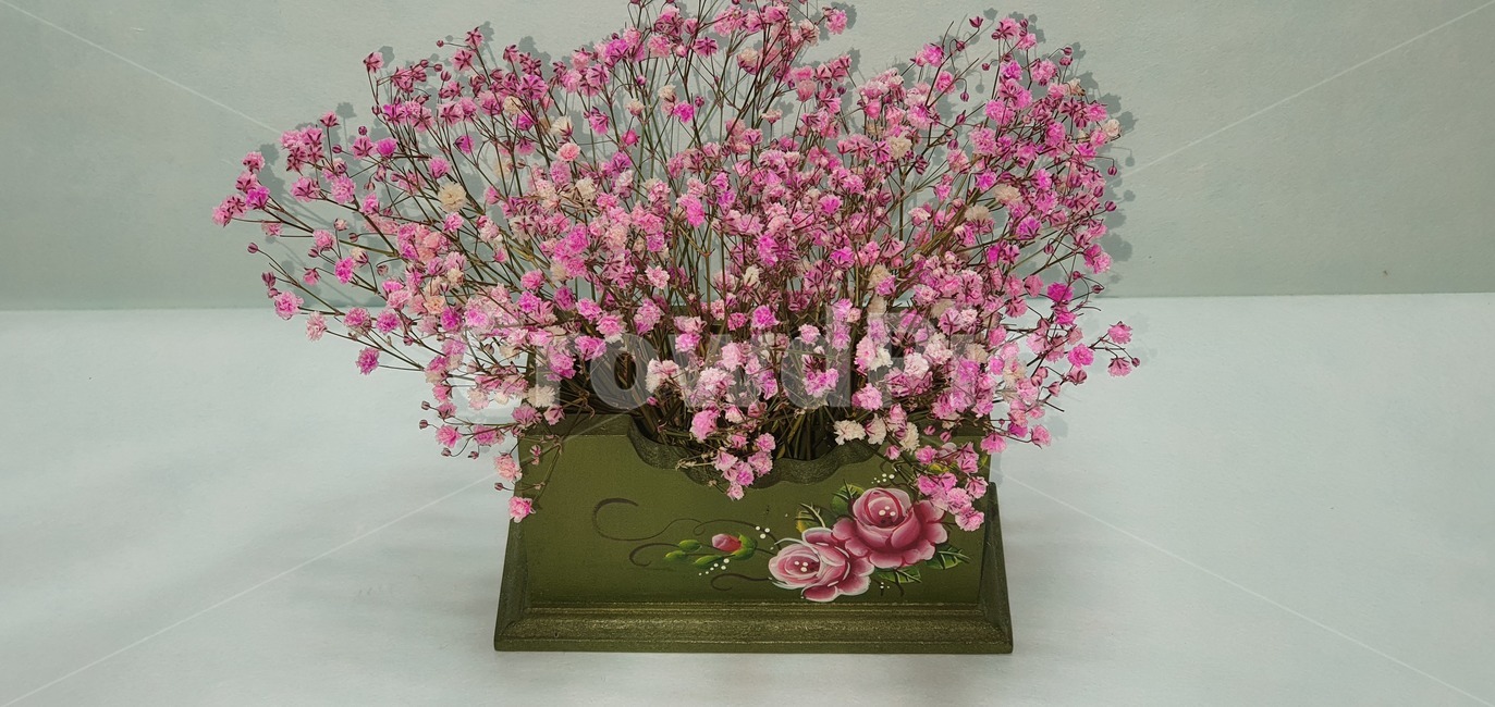 안개꽃,분홍,핑크,드라이플라워,babysbreath,plant,식물,blossom,flower,꽃