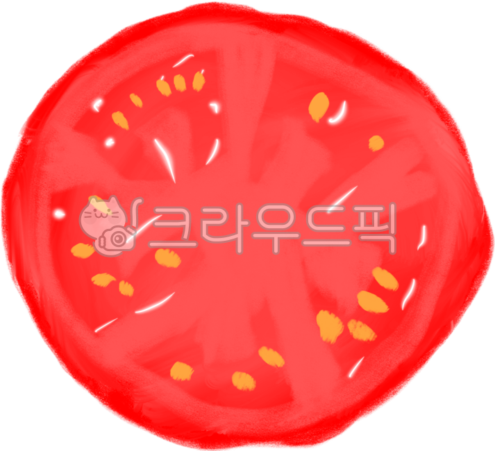 food,vegetable,토마토,토마토단면,채소,야채,다이어트,다이어트채소,채소다이어트,토마토다이어트