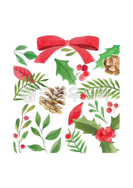 겨울,시즌,새해,크리스마스,성탄절,성탄,신년,그림,일러스트,일러스트레이션,드로잉,수채화,수작업,손그림,크리스마스카드,포스터,카드,배경,백그라운드,빨간색,녹색,초록색,식물,자연,나뭇잎,잎,나뭇가지,호랑가시나무,리본,누끼,png,솔방울,열매,winter,season,new,year,christmas,noel,painting,illustration,drawing,watercolor,handdrawn,background,red,green,plant,nature,leaf,twig,branch,poster,gift,present,box,ribbon,poinsettia,berry,holly,pine,cone