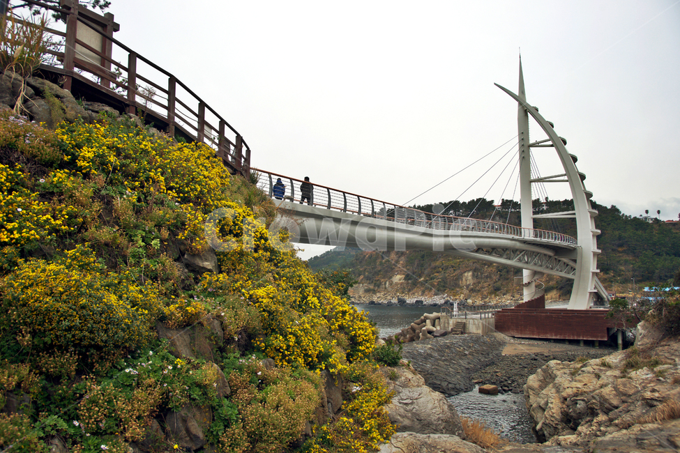 새연교,제주,서귀포시,새섬,태우,2009년,사장교,최남단,건축물,건물외관,exterior,building,structure,architecture,construction
