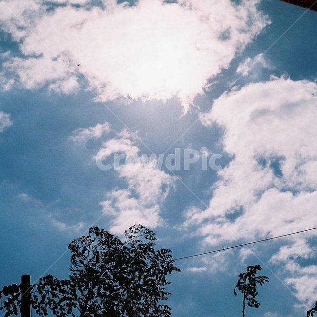 sky,하늘,나무,해,구름