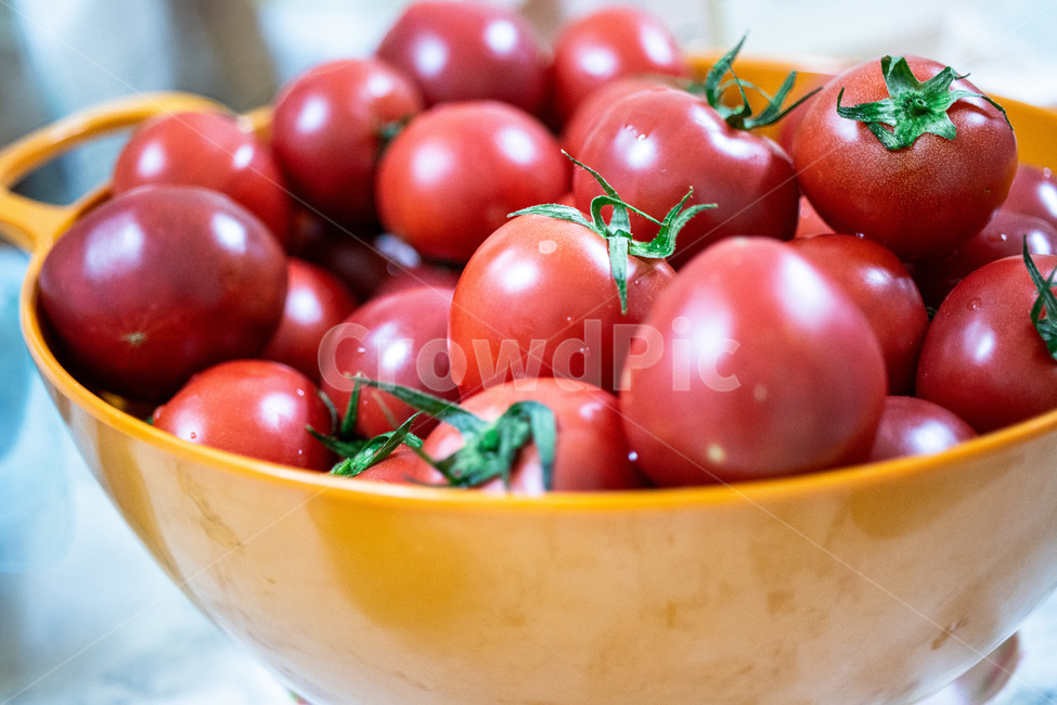 토마토,바구니,야채,과일,녹색,방울,신선한,제철과일