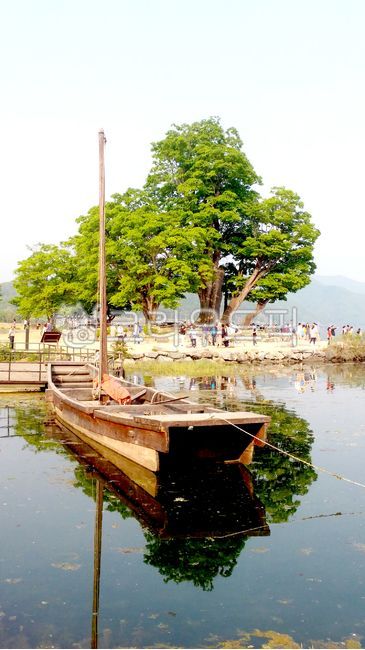 Yangpyeong Dumulmeori,Dumulmeori,tree,ship,Yangpyeong,lake,water