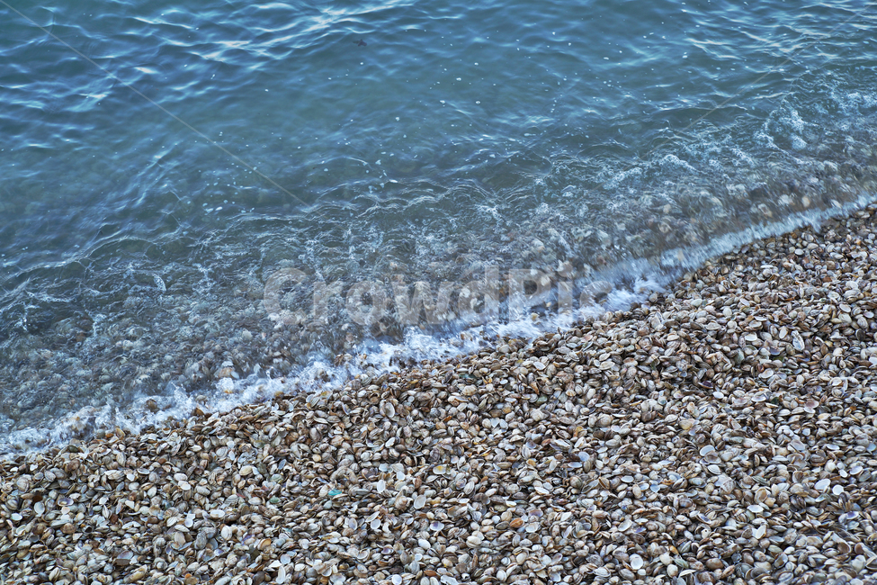파도,조개,포말,해변,물결,선재도,인천,옹진군,서해,바다,해변,바다,beach,sea