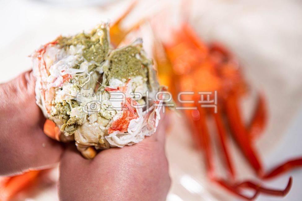 seafood,Snow crab dish,Steamed snow crab,snow crab,Snow crab sauce,Russian snow crab,Snow crab meat,red crab
