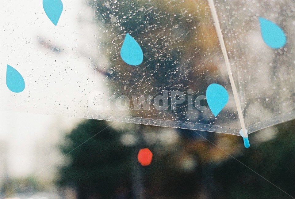 rainy,umbrella,rain,우산,비,감성,sensible,feeling,비,비오는날,rain,rainy