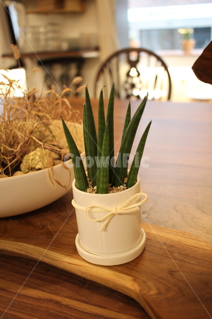 pot,Stucky,restaurant,table,interior