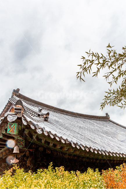 기와,선,문양,패텅,단청,처마,사찰,전통,한국전통,한국문화,korean traditional,korean culture,건축물,건물외관,exterior,building,structure,architecture,construction