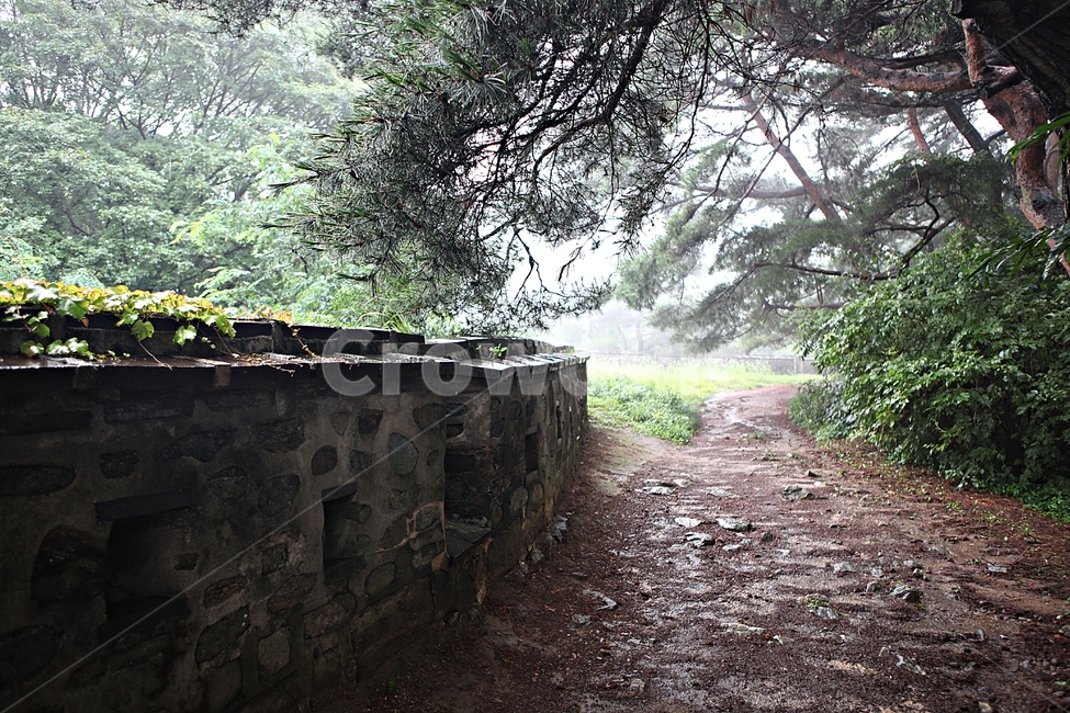 남한산성,성,성곽,숲,숲길,안개,돌,돌담,길,둘레길