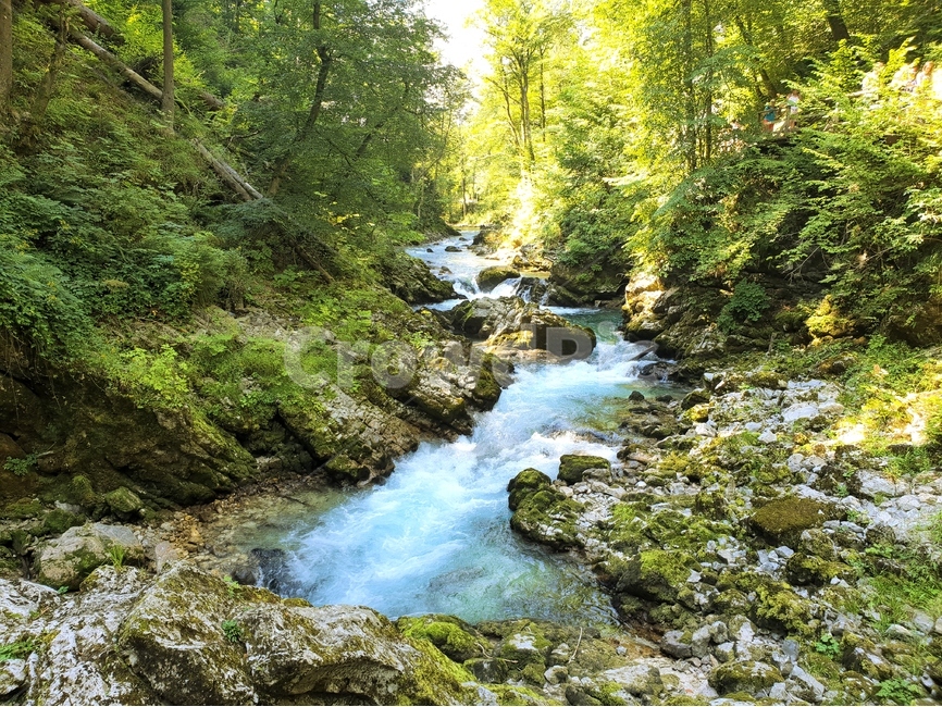 협곡,계곡,여름,슬로베니아,빈트가르,vintgar,gorge,valley,빈트가르협곡,계곡물,자연,풍경,동유럽,물,경관,더위,숲,나무,자연,풍경,nature,landscape,해외,외국,세계,foreign,oversea,world,세계자연풍경,해외자연풍경,외국자연풍경,world nature landscape,water,outdoors,옥외,creek,작은 만,stream,흐름