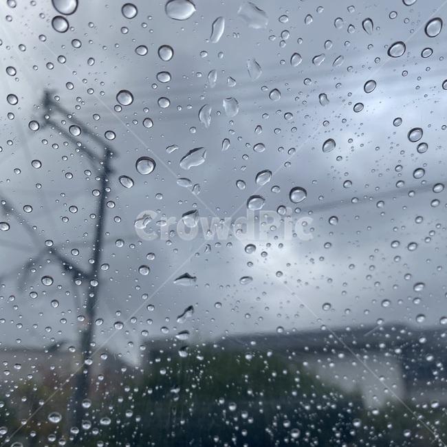 비,물방울,rain,투명우산,비오는날,흐린날,쓸쓸한,물