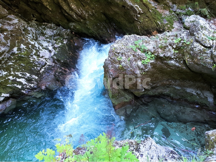 협곡,계곡,여름,슬로베니아,빈트가르,vintgar,gorge,valley,빈트가르협곡,계곡물,자연,풍경,동유럽,물,경관,더위,숲,나무,자연,풍경,nature,landscape,해외,외국,세계,foreign,oversea,world,세계자연풍경,해외자연풍경,외국자연풍경,world nature landscape,water,outdoors,옥외,river,강,waterfall,폭포