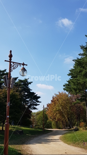 가로등,가로등길,나무,단풍나무,초록,나무가지,길,흙,잔디,램프포스트,lamppost,자연,풍경,nature,landscape
