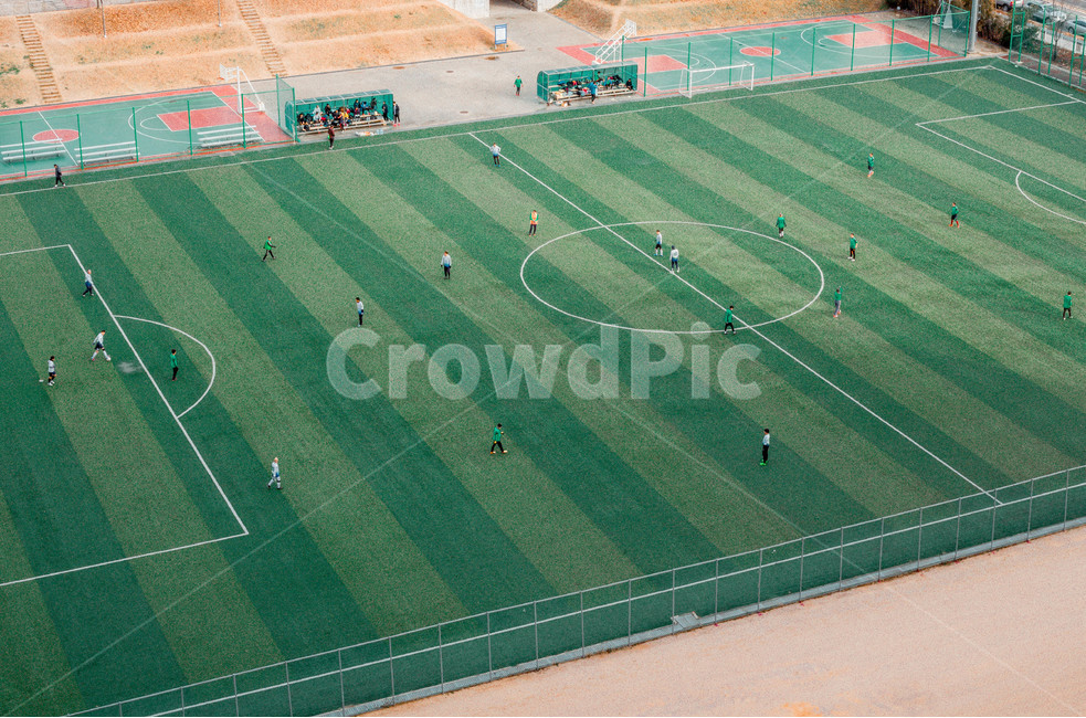 축구장,경기장,들판,사람들,경기,축구경기,사람,field,stadium
