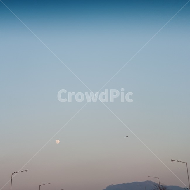 nature,자연,하늘,옥외,가로등,구름,sky,달,moon,moonnight