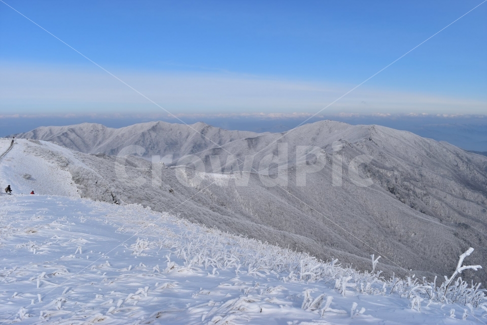 소백산,눈꽃풍경,상고대,겨울풍경,국립공원,겨울동화,눈풍경,파란하늘,100대명산,겨울명산,설경,서리꽃,영동,snow,landscape,비로봉,국망봉,운해,자연,풍경,nature,landscape,겨울,계절,winter,season,slope,경사,outdoors,옥외,mountain,산,mountain range,산맥