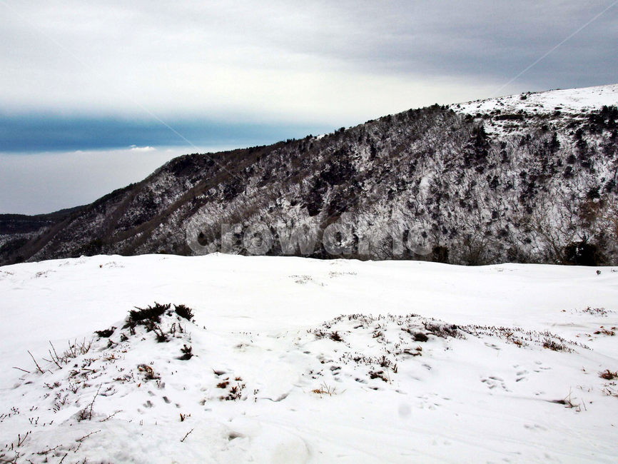 어리목,한라산,제주도,겨울,설산,설경,눈,겨울,계절,winter,season,자연,풍경,nature,landscape,outdoors,옥외,mountain,산