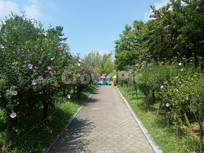 홍천,홍천무궁화공원,놀이터,길,공원길,outdoors,자연,풍경,nature,landscape,garden,정원,옥외,arbour,정자,plant,식물