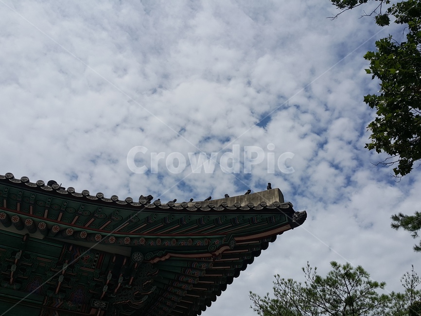 기와,하늘,뭉개구름,나무,한국