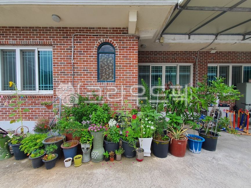 yard,summer yard,Yard scenery,summer plants,pot,flower bed,brick