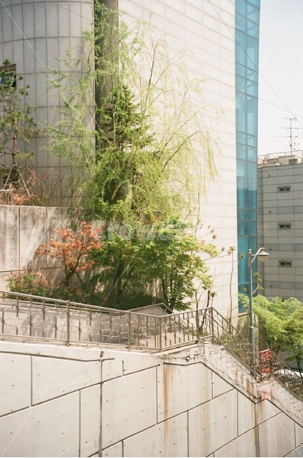 계단,나무,풍경,자연,감성사진,색감,건축물,건물외관,exterior,building,structure,architecture,construction
