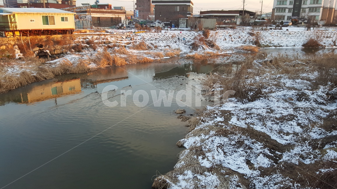 자연,눈,나무,강,강가,노을,겨울,계절,winter,season