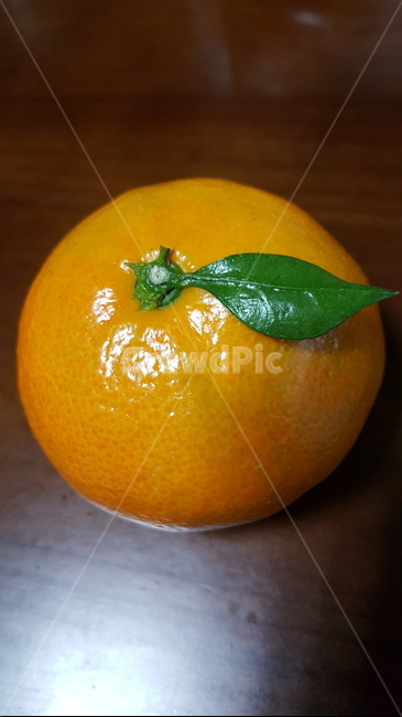 귤,과일,감귤,이파리,주황