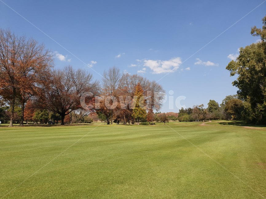 golf,골프,파란하늘,단풍,가을,햇살,구름,나무,잔듸,골프장