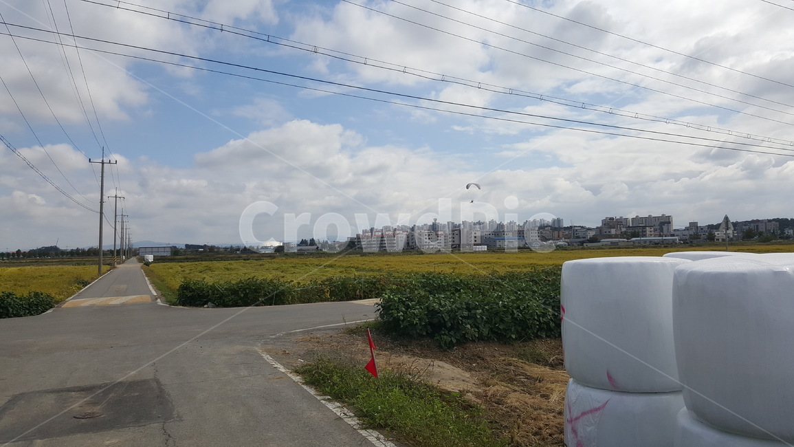구름,하늘,길,논,들,전봇대,시골,마을,풍경,landscape,country,rural,town