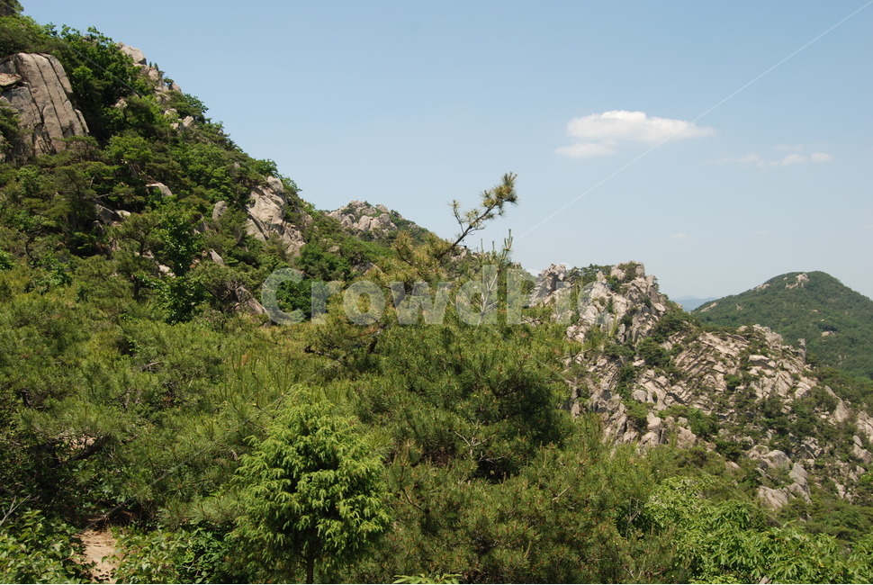 바위,rock,mountain,tree,nature,자연,풍경,nature,landscape,bush,부시,plant,식물,vegetation,초목,outdoors,옥외