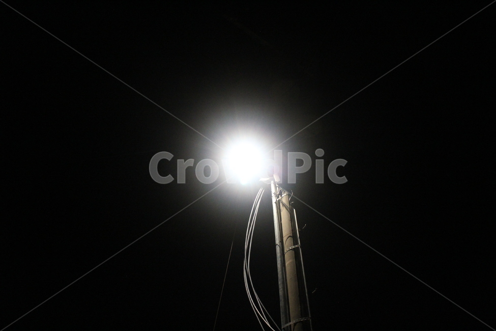 light,빛,flare,플레어,가로등,야경,밤,풍경,nightscape,night,landscape