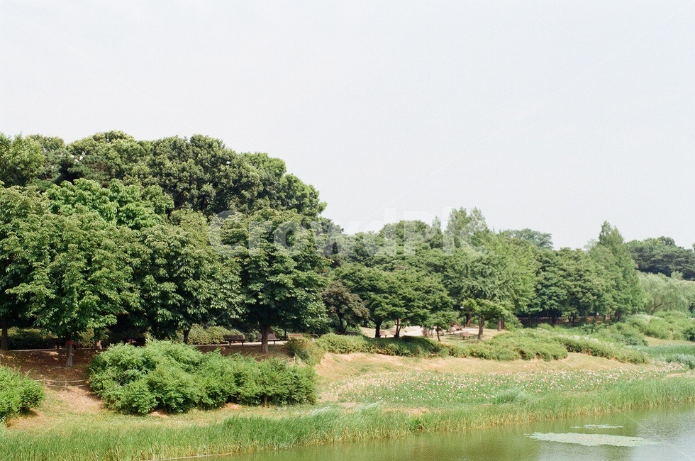 outdoors,tree,나무,식물,nature,자연,plant,park,공원,호수,자연,풍경,nature,landscape