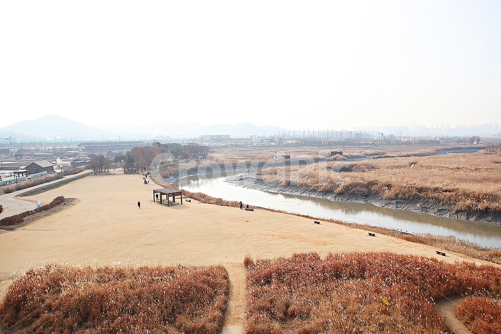 소래습지생태공원,갯골,뻘,갯벌,갈대,식믈,자연,풍경,잡초,풀,가을,바다물,생태공원,공원