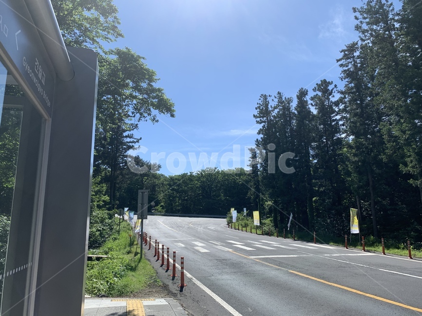 도로,road,아스팔트,asphalt,highway,freeway,타맥,tarmac,교통,교통수단,traffic,transportation