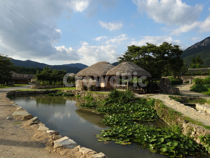 nature,자연,연못,전통마을,pond