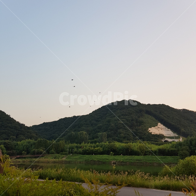 산,새,풀,들꽃,노을