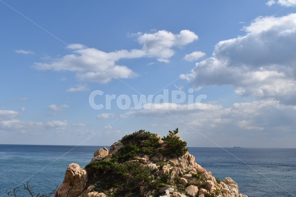 울산,대왕암,바다,풍경,구름,바위,감성,sea,ocean,cloud,tree,plant,blue,ulsan,korea,자연,풍경,nature,landscape,land,땅,outdoors,옥외,shoreline,해안선,water,물,대양,promontory,곶,coast,연안