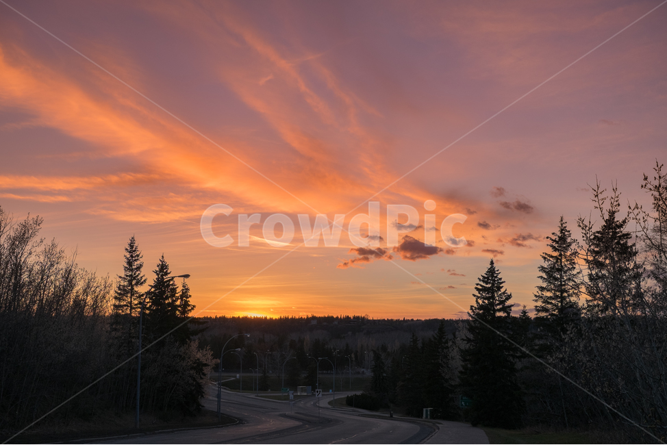 캐나다,canada,에드먼튼,edmonton,알버타,alberta,겨울,쌀쌀,겨울풍경,도로,차도,저녁하늘,신호등,파란하늘,자연,풍경,nature,landscape,도시,city,해외,외국,세계,foreign,oversea,world,세계도시풍경,해외도시풍경,외국도시풍경,world cityscape,tree,나무,plant,식물,fir,전나무,abies,아비