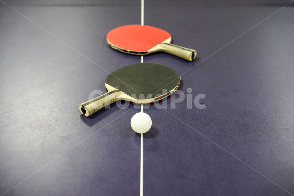 탁구,탁구대,스포츠,탁구라켓,탁구공,tabletennis,스포츠,레저,운동,sports,leisure,exercise,사물,물건,오브젝트,thing,object,matter