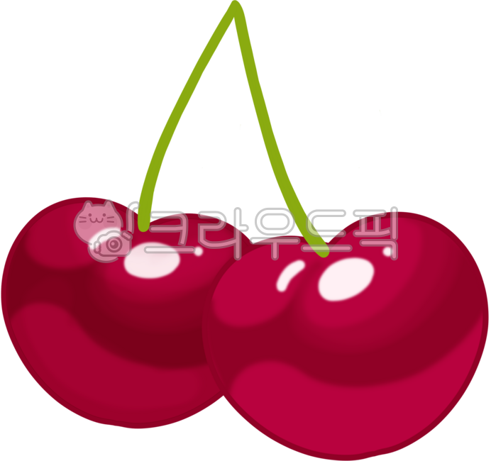 체리,과일,열매,베리류,버찌,앵두,빨간열매,과실