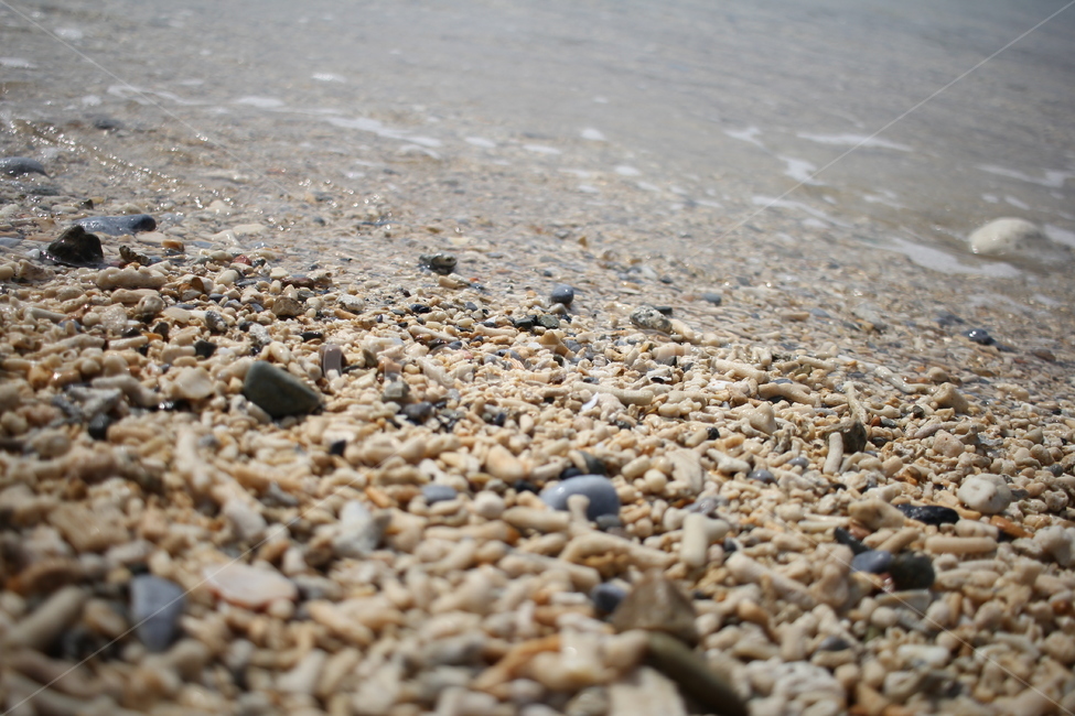 바다,돌,조약돌,자갈,해변,해변,바다,beach,sea