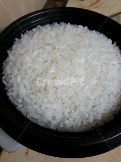 쌀,rice,흰쌀밥,cookedwhiterice,bap,녹말음식,요리,food,식물,plant,한식,koreanfood,음식,식재료,요리,food,cook,meal,dishes,food reserves