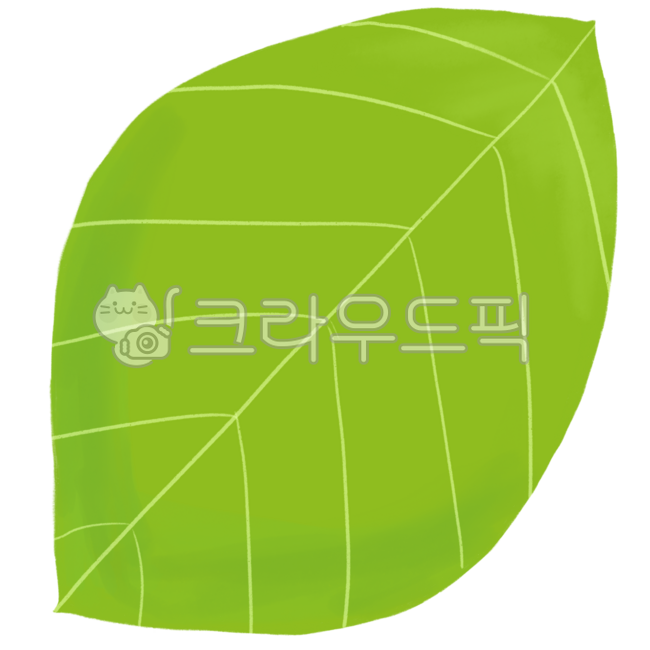 leaf,잎,나뭇잎,나뭇잎일러스트,나뭇잎그림