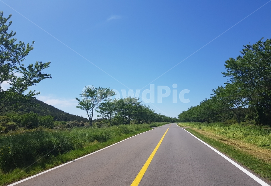 자연,하늘,푸른,제주,도로,찻길,제주도,jeju,감성,emotion,경치,나무,tree,풍경,scenery,자연풍경,sky,blue,맑음,sunny,nature,봄,spring,오름,휴식,rest,힐링,healing,street