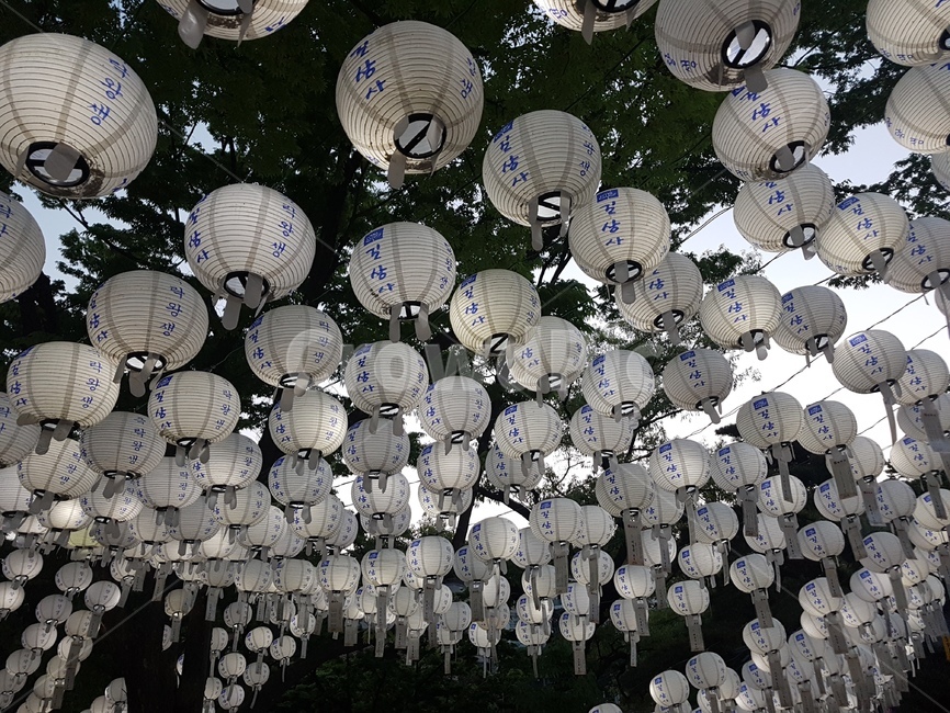 연등,초파일,석가탄신일,길상사,절,사찰,lotuslantern