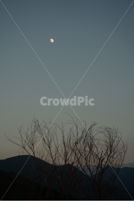 달,해질녘,자연,moon,nature,풍경,옥외,outdoors