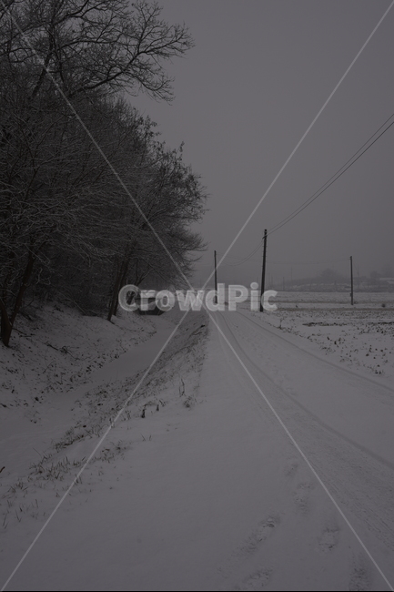 nature,자연,안개,들,겨울,눈,snow,winter,풍경,배경,길,겨울,계절,winter,season,자연,풍경,nature,landscape
