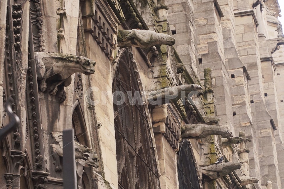 파리,노틀담대성당,가고일상,paris,notredame,gargoyles,해외,외국,세계,foreign,oversea,world,조각상,동상,석상,조형물,statue,bronze statue,stone statue,건축물,건물외관,exterior,building,structure,architecture,construction