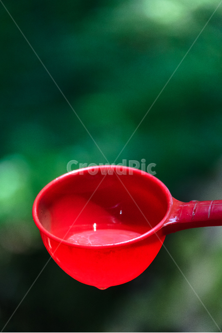약수터,약수,물,신선한,컵,숲,사물,물건,오브젝트,thing,object,matter