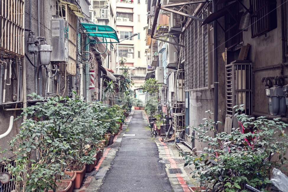 여행,대만,여행사진,감성,골목길,화분,동네,스냅,대만여행,길,canon,travel,taipei,road,도시,감성사진,일상사진,세계,해외,시먼,도시,풍경,city,landscape,골목길,alley,해외,외국,세계,foreign,oversea,world,세계도시풍경,해외도시풍경,외국도시풍경,world cityscape,도로,building,건물,street,거리,urban,어반,시티,town